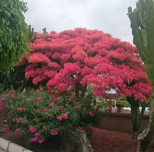 Floris's Апартаменты *